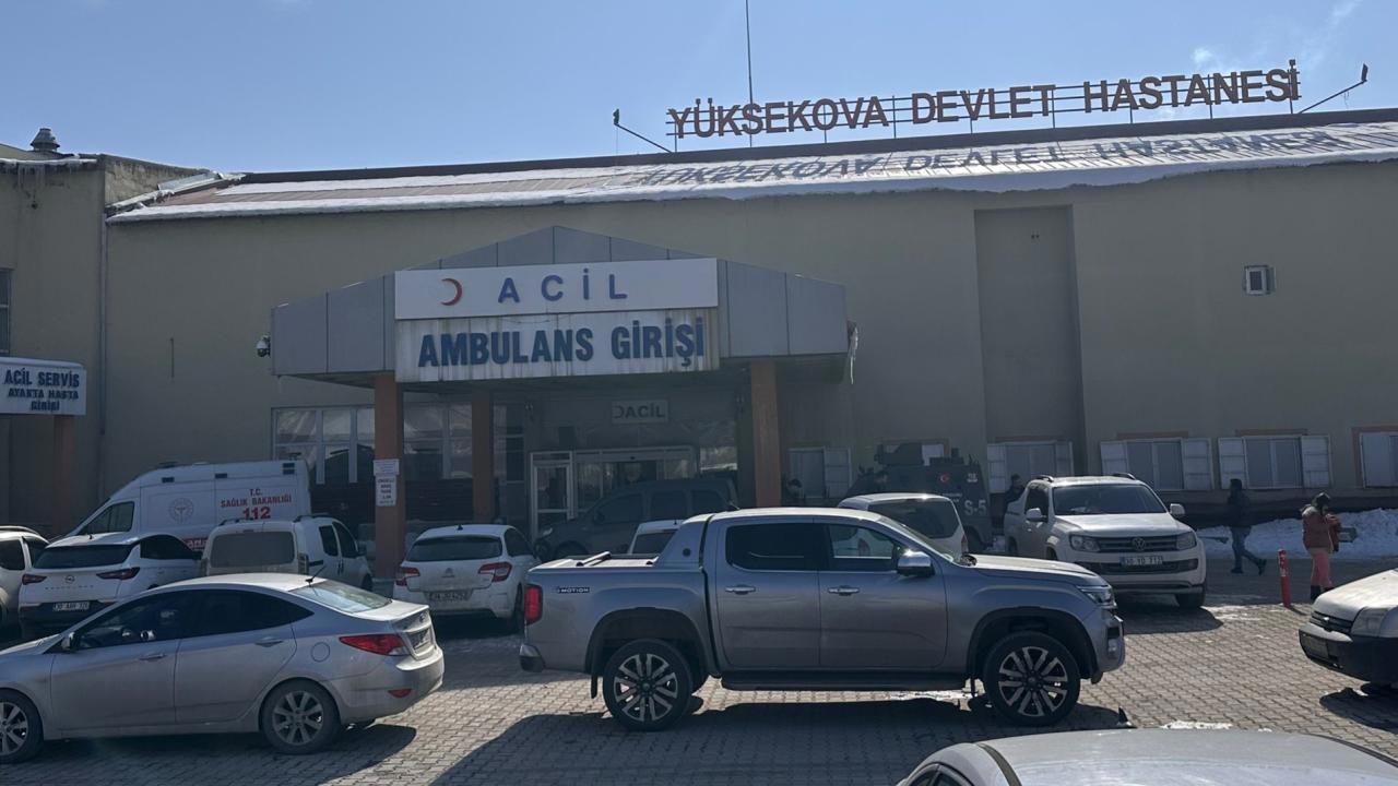 Başıboş Köpeklerin Saldırısında Hayatını Kaybeden Çocuk İçin Müfettiş Görevlendirildi