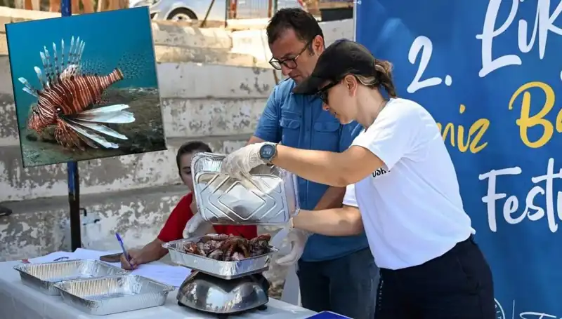 Antalya'da Heyecan Verici İstila: Aslan Balığı Avlama Yarışması Başlıyor!