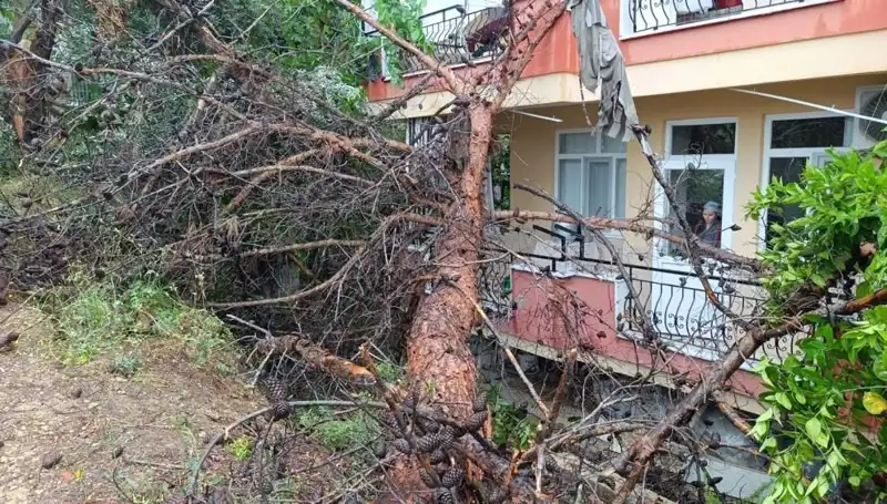 Şiddetli Yağmur, Eski Yapıyı Yerle Bir Etti: Korkutan Çöküş