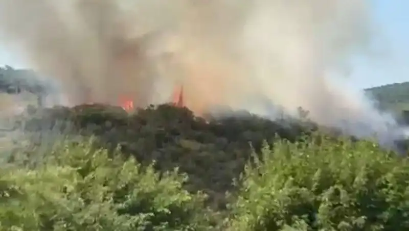 İstanbul Orman Yangınında Acil Tahliye: Vatandaşların Güvenliği Ön Planda