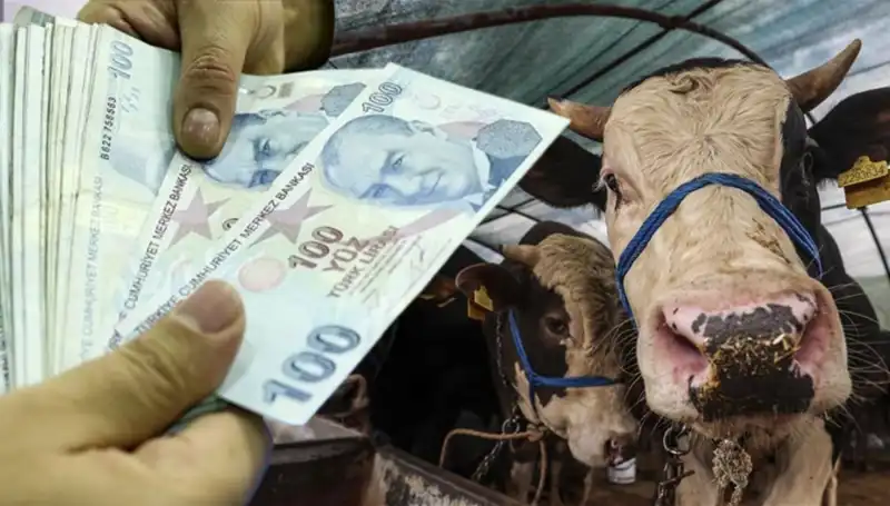 Emekli ve Memurlar Bayramda Maaşlarını Alacak mı? İşte Cevabı!