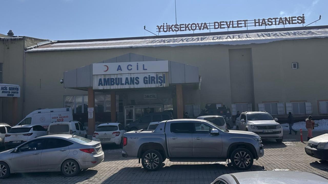 Hakkari'de köpek saldırısında bir çocuk hayatını kaybetti