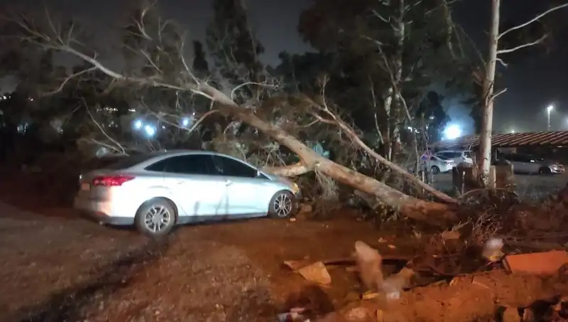 Hatay'da Beklenmedik Fırtına: Tekne ve Ağaçlar Savaşta Gibi